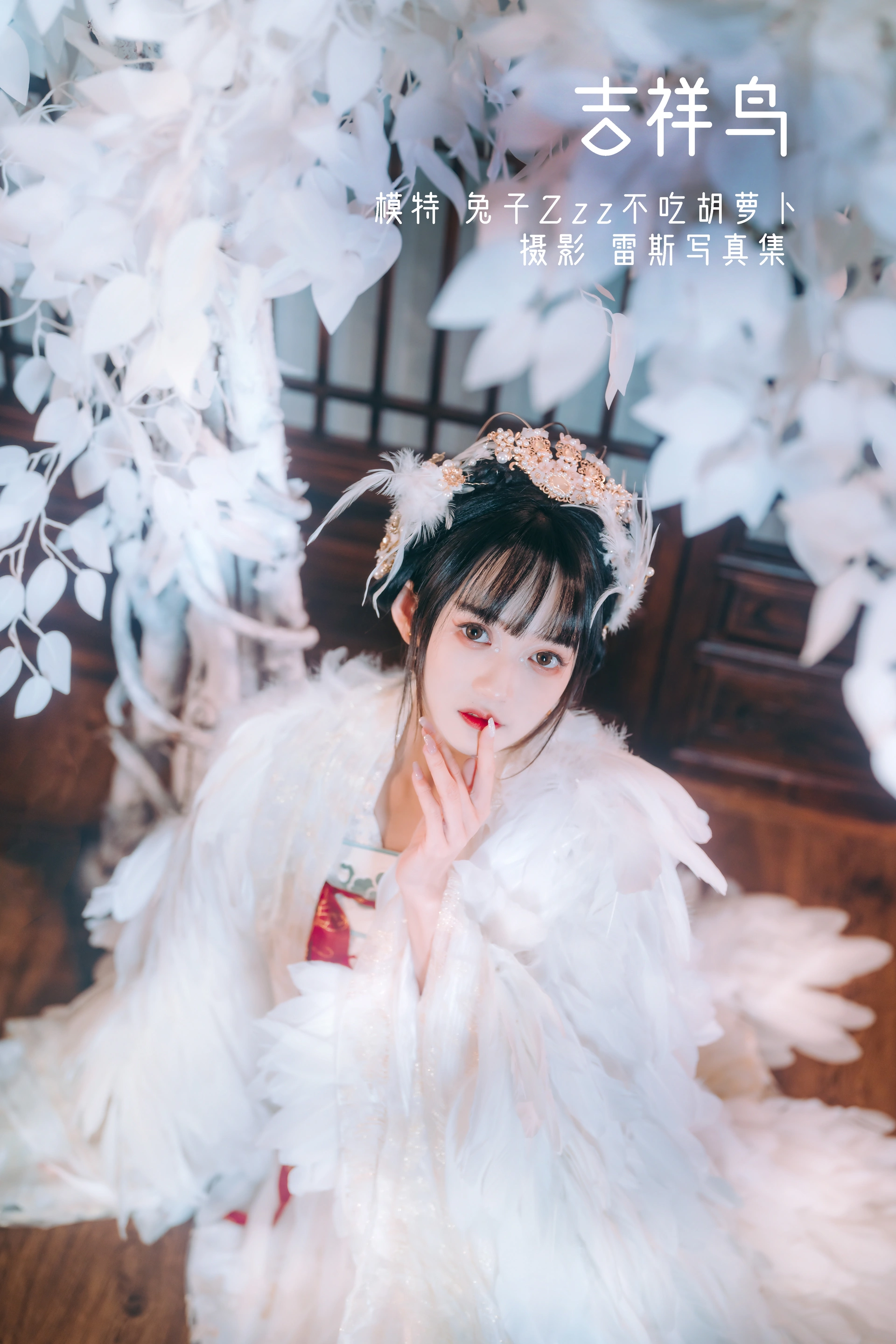 兔子Zzz不吃胡萝卜 - NO.11 吉祥鸟 1